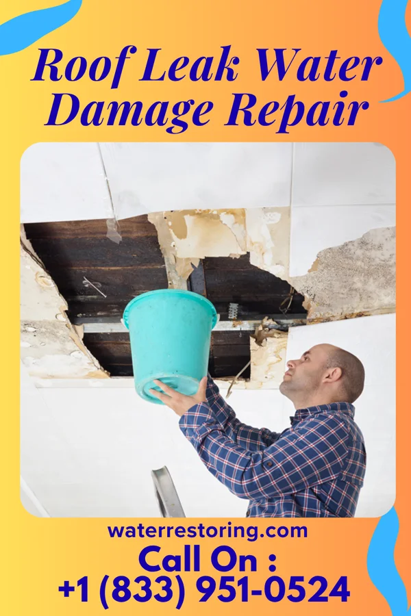 Roof Leak Water Damage Repair in Sartell, MN