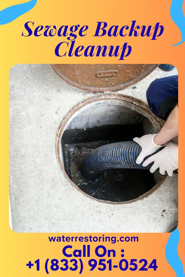 Sewage Backup Cleanup in Sartell, MN